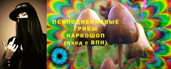 соль ск Зеленодольск