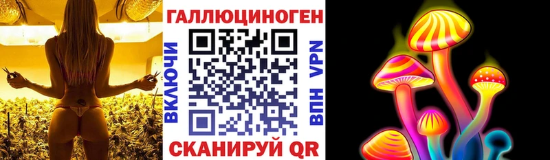 Галлюциногенные грибы Cubensis  Купить где  Володарск 